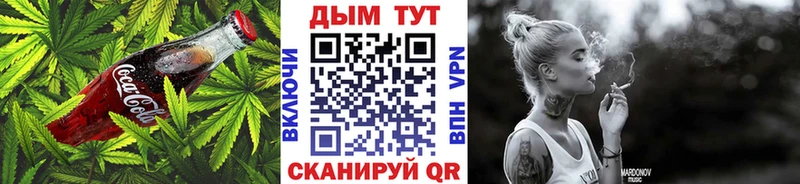 Canna-Cookies марихуана где продают Буйнакск