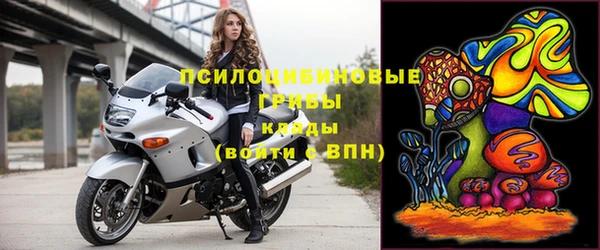 винт Билибино