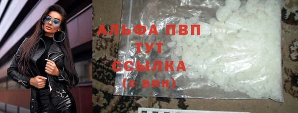 стаф Губаха