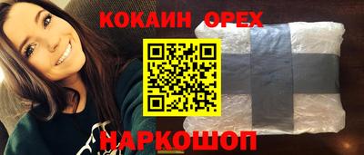 прущие грибы Будённовск