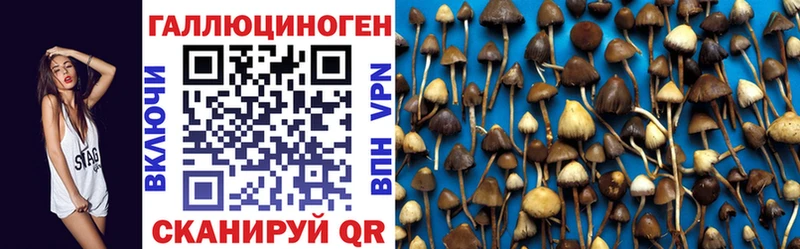 как найти наркотики  Буйнакск  площадка клад  Галлюциногенные грибы мухоморы 