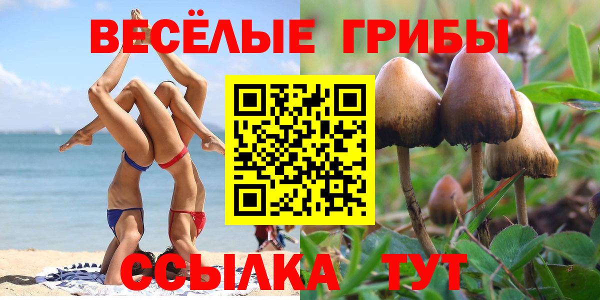 Буйнакск  Галлюциногенные грибы мицелий  Псилоцибиновые грибы Psilocybe  Вход с VPN 
